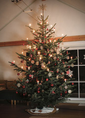 Fototapeta na wymiar Weihnachtsbaum traditionell