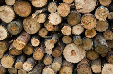 close up of firewood