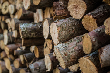 close up of firewood