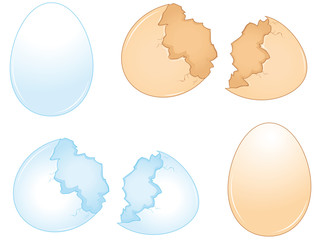 broken eggshells of chicken eggs collection icons