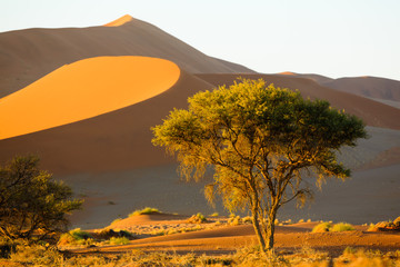 Sussusvlei Deadvlei - Namibia