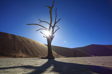 Sussusvlei Deadvlei - Namibia