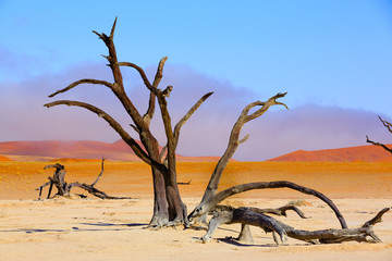 Fototapeta na wymiar Sussusvlei Deadvlei - Namibia