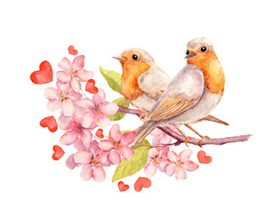 Birds on blooming branch with flowers. Watercolor