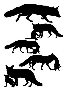 Fox mammal animal silhouette. Good use for symbol, logo, web icon, mascot, sign, or any design you want.