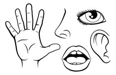 Five Senses Illustration