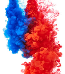 Obraz premium Color ink in water