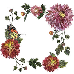 Wildflower aster flower frame in a watercolor style isolated.