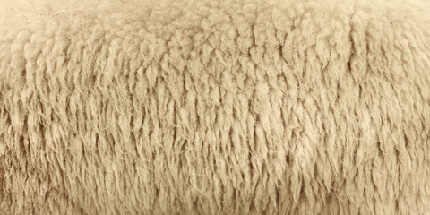 Sheepskin © foto76