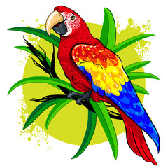 vector drawing of a large bright colored parrot on  background  green leaves © tasha_d