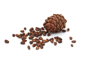 cone