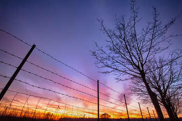 Fiery sunset viewed through barbed fence