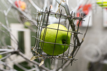 Green apple in a steel cage. Close-up