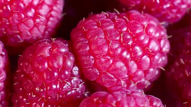 Juicy fresh raspberries rotating. Raspberries fruit background. Macro shot.
