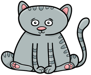 cat or kitten animal character