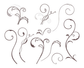 Set of vector swirl floral elements.