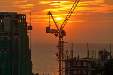 crane and sea