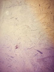 Obraz premium Natural stone surface texture background