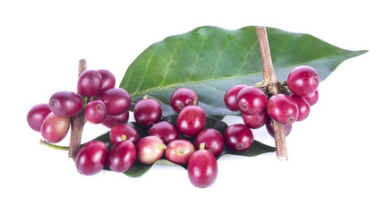 fresh coffee beans isolated on white background