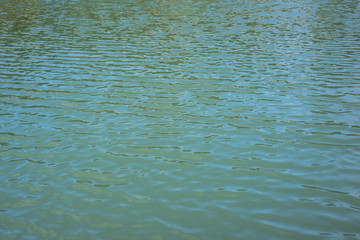sea wave close up, low angle view