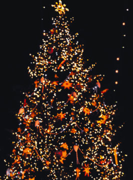 blurred Christmas lights on a Christmas tree