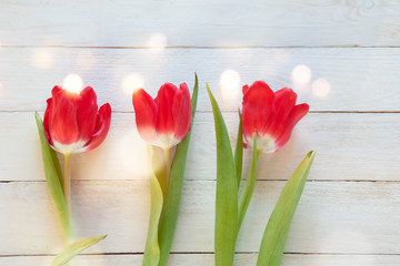 Background with tulips