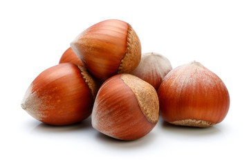 Hazelnut isolated