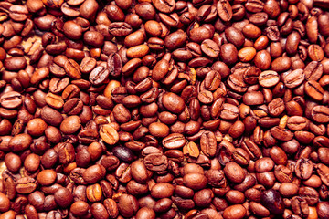 Coffee Beans Background