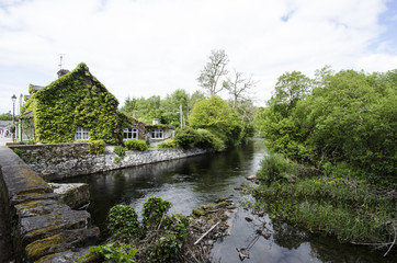 Fototapeta premium wilder Fluß