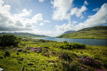 Fjord