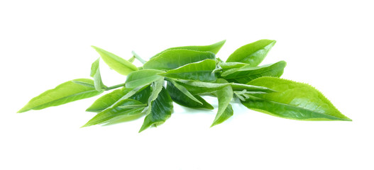 Plakat green tea leaf on white background
