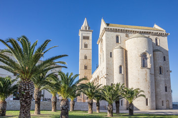 Cathedral of Trani with palm trees in front - obrazy, fototapety, plakaty