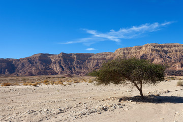 Desert mountains with blue sky in the background 