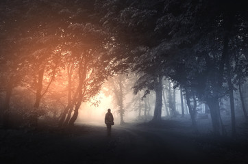 Naklejka na ściany i meble fantasy forest landscape. Mysterious surreal light in gloomy dark forest with fog between trees and man walking on natural path