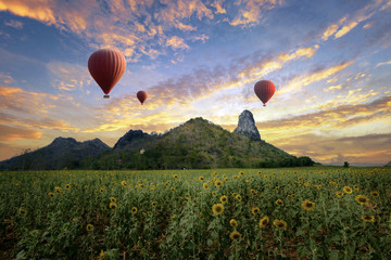 Balloons flying over sunflower field in sunset scenery mountain in back ground