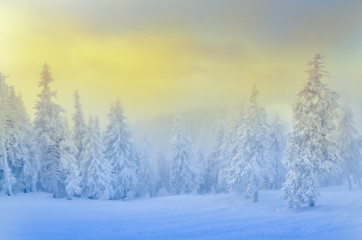 Winter scene in Poiana Brasov, beautiful landscape from Transylvania. Romania