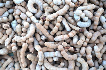 Group of sweet ripe tamarind pods on the wood table.