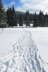 Fototapeta na wymiar Footsteps on the snow