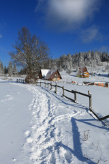 Fototapeta premium Footsteps on the snow