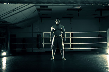 Fototapeta premium boxing workout