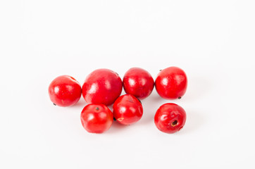 pink pepper is isolated.