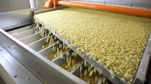 industrial equipment for manufacture of macaroni