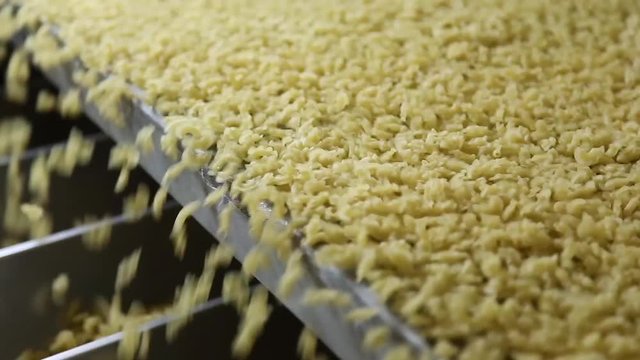 industrial equipment for manufacture of macaroni