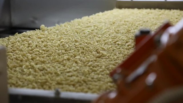 conveyor for the production of pasta