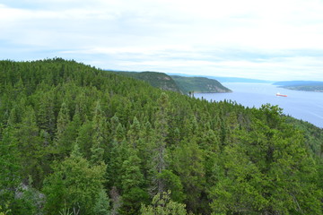 Fototapeta na wymiar Forêt du Fjord du Saguenay