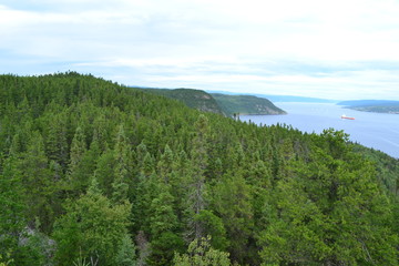 Obraz premium Forêt du Fjord du Saguenay
