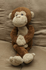 a stuufed monkey sitting looking happy