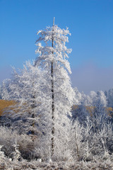 Winterzauber