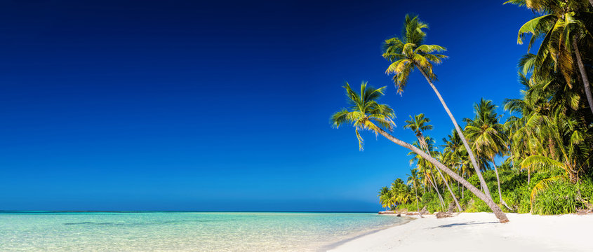 Panorama of tropical island with coconut palm trees on sandy bea