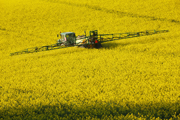 Agricultural Sprayer in Canola Field